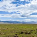 TZA ARU Ngorongoro 2016DEC26 Crater 051 : 2016, 2016 - African Adventures, Africa, Arusha, Crater, Date, December, Eastern, Month, Ngorongoro, Places, Tanzania, Trips, Year